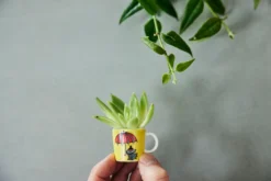 Arabia Mini Tasses Moomin Lot De 6 Troisième Classique 10 Arabia Mini Tasses Moomin Lot De 6 Troisième Classique -Magasin D'Art De La Table De Qualité 504012 01 11 EnvironmentImage d791012fd8