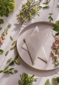 Serviettes Lines 16x16 Cm Lot De 18 -Magasin D'Art De La Table De Qualité 506283 01 10 EnvironmentImage 09189997ca