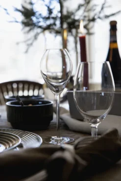 Sagaform Verre à Champagne Saga Lot De 2 9 Sagaform Verre à Champagne Saga Lot De 2 -Magasin D'Art De La Table De Qualité 508650 01 3 EnvironmentImage 8ede8cca50