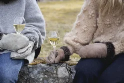 Sagaform Verre à Champagne Saga Lot De 2 11 Sagaform Verre à Champagne Saga Lot De 2 -Magasin D'Art De La Table De Qualité 508650 01 5 EnvironmentImage 3f8bfd1ac1