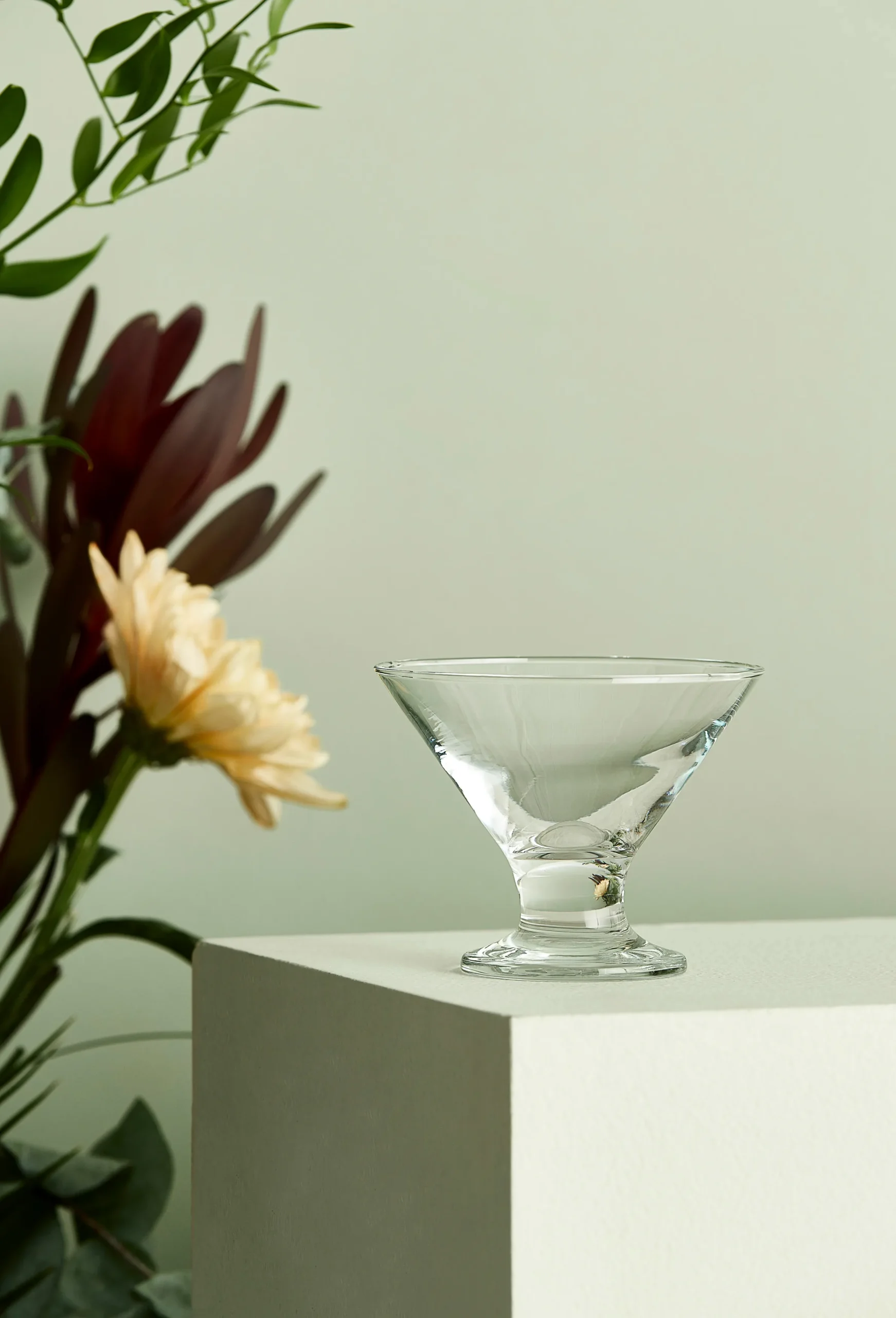 Aida Bol à Dessert Café 16,5 Cl 4 Aida Bol à Dessert Café 16,5 Cl – Image 2