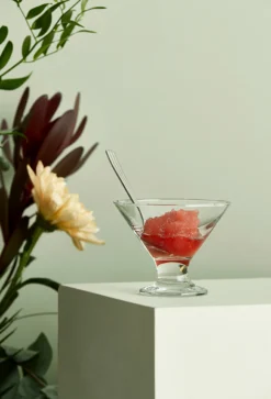 Aida Bol à Dessert Café 16,5 Cl 7 Aida Bol à Dessert Café 16,5 Cl -Magasin D'Art De La Table De Qualité 508894 01 3 EnvironmentImage 7dbd70ec52