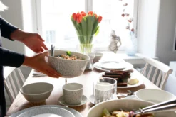 Arabia Plat Mainio Sarastus Ø11,5 Cm 12 Arabia Plat Mainio Sarastus Ø11,5 Cm -Magasin D'Art De La Table De Qualité 510625 01 3 EnvrionmentImage 018788f053