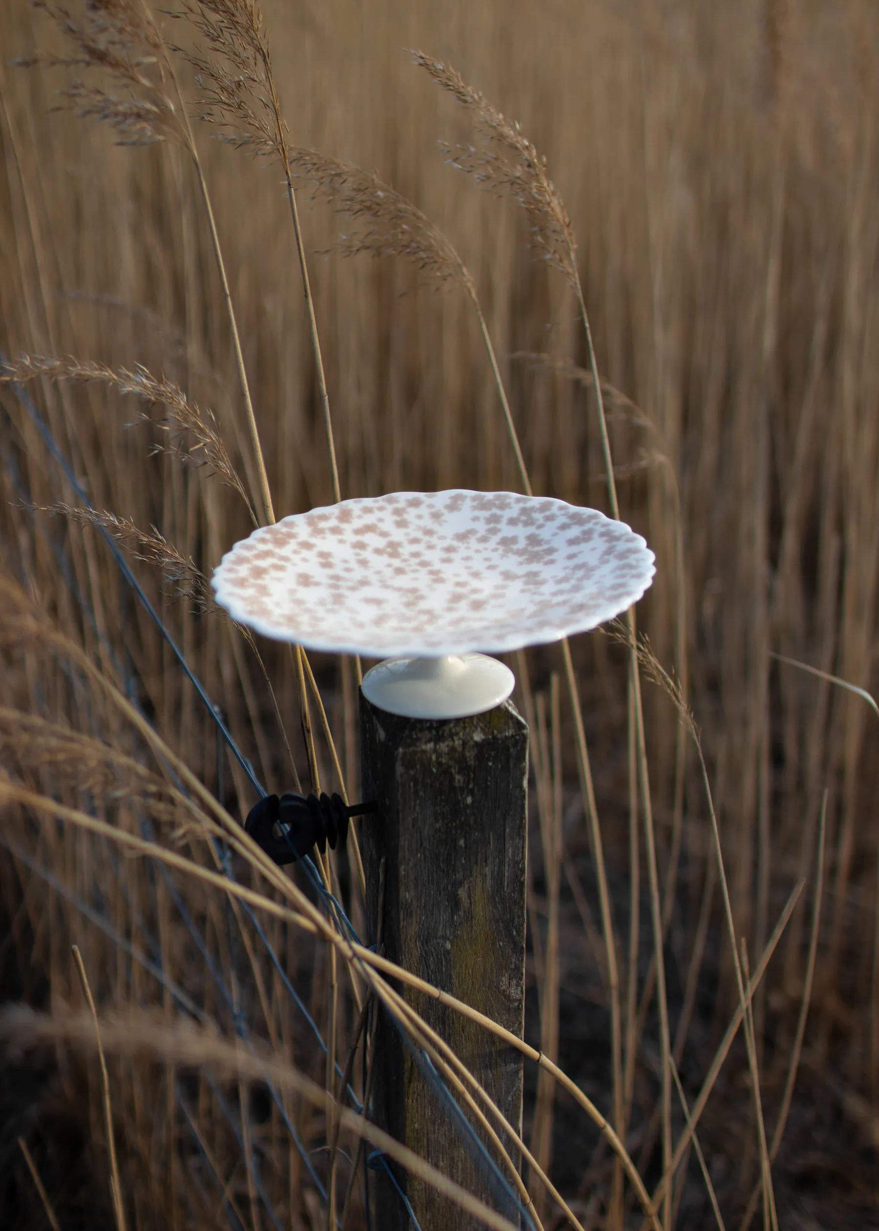 Plat à Tarte Slåpeblom Ø21 Cm 4 Plat à Tarte Slåpeblom Ø21 Cm – Image 2