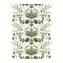 Toile Cirée Lövsång