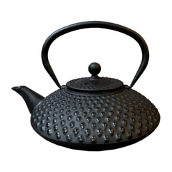 Théière Ovale Satake 1,2 L