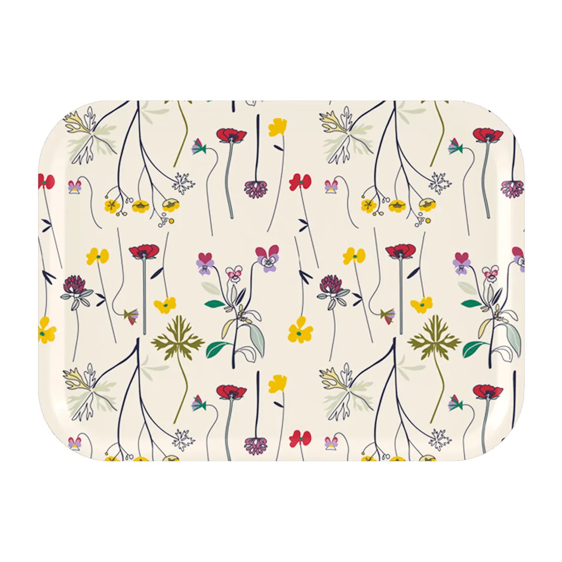 Plateau Herbarium 20x27 Cm 3 Plateau Herbarium 20x27 Cm