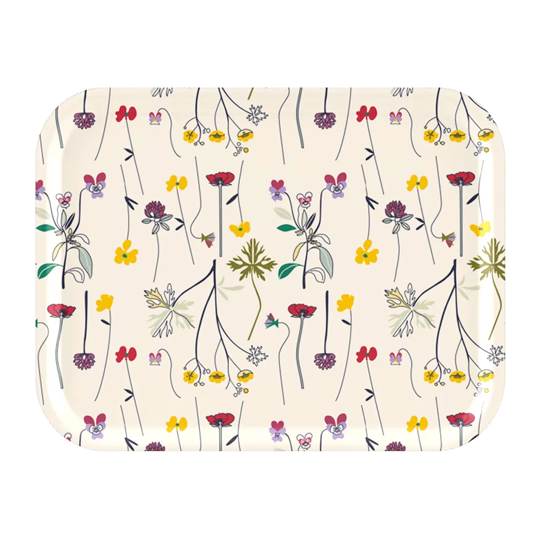 Plateau Herbarium 28x36 Cm 3 Plateau Herbarium 28x36 Cm