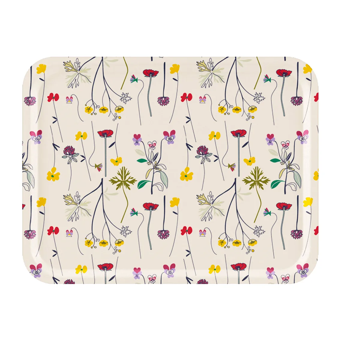 Plateau Herbarium 33x43 Cm 3 Plateau Herbarium 33x43 Cm