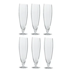 Verres à Bière Eva Solo Lot De 6